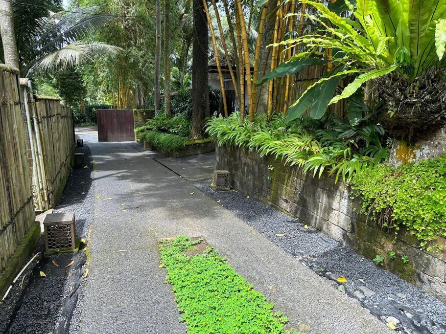 Vila Boho Bellissimo Ubud Exteriér fotografie