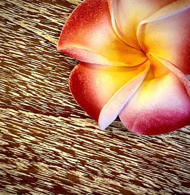 Vila Boho Bellissimo Ubud Exteriér fotografie